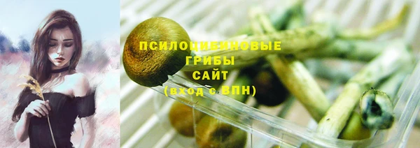 Альфа ПВП Михайлов