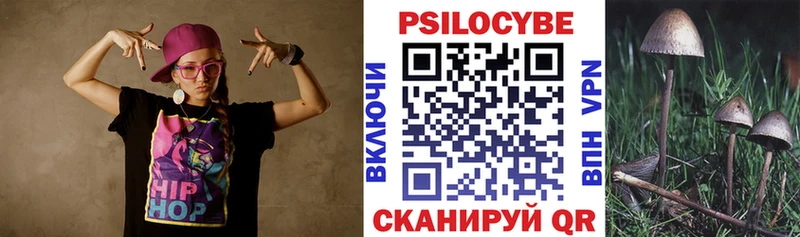 Купить где  Хабаровск  Псилоцибиновые грибы Cubensis 